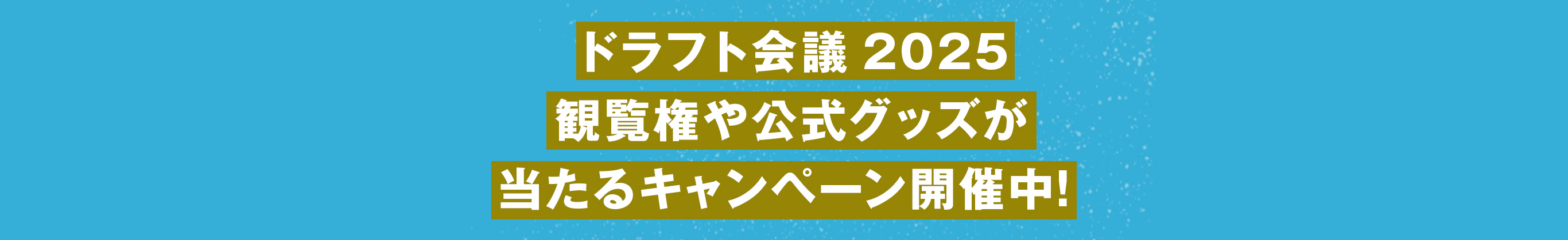 ドラフト会議2025観覧権や公式グッズが当たるキャンペーン開催中！